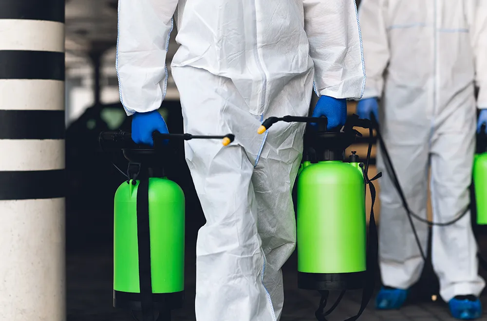 a mold removal team