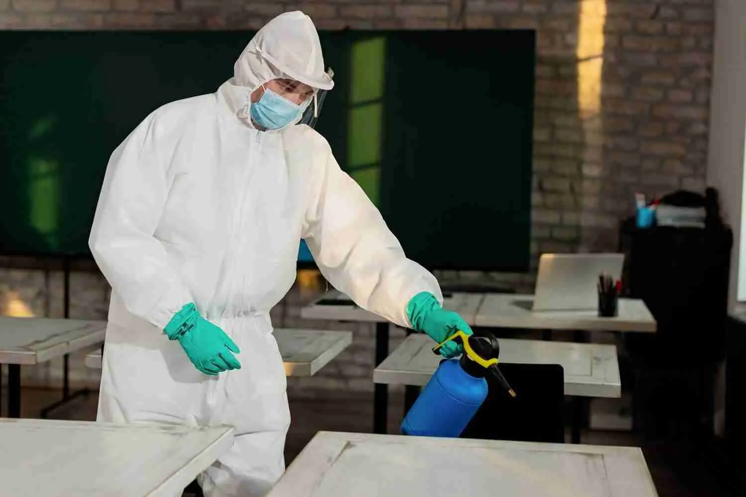 Mold-Remediation